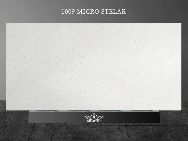 1009 Micro Stelar 